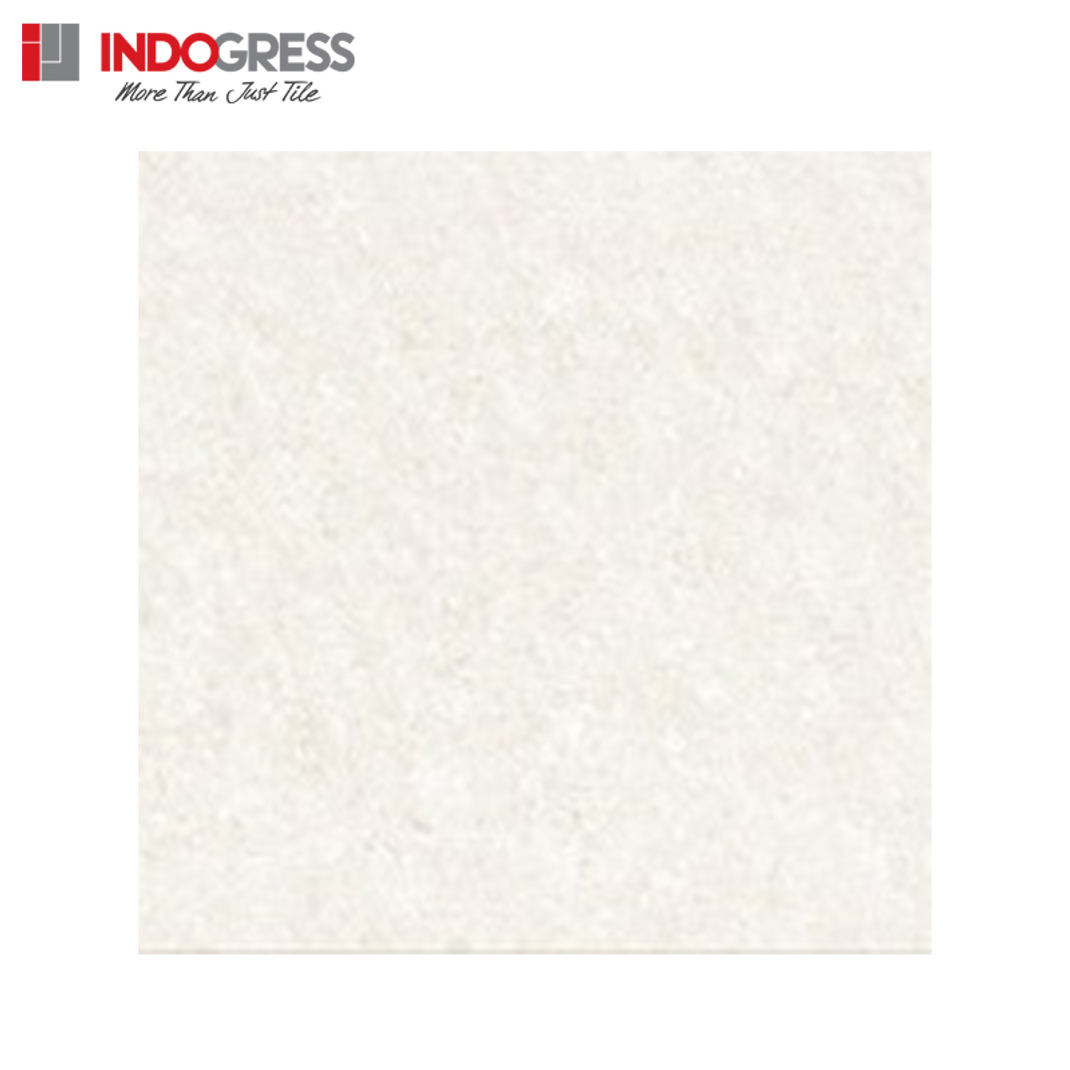 Engress ED012 White Granite 60X60 - Granit Lantai